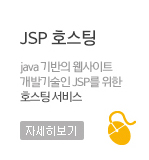 JSP호스팅,java기반의 웹사이트 개발기술인 JSP를 위한 호스팅 서비스.자세히보기